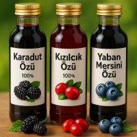 Meyve Özleri