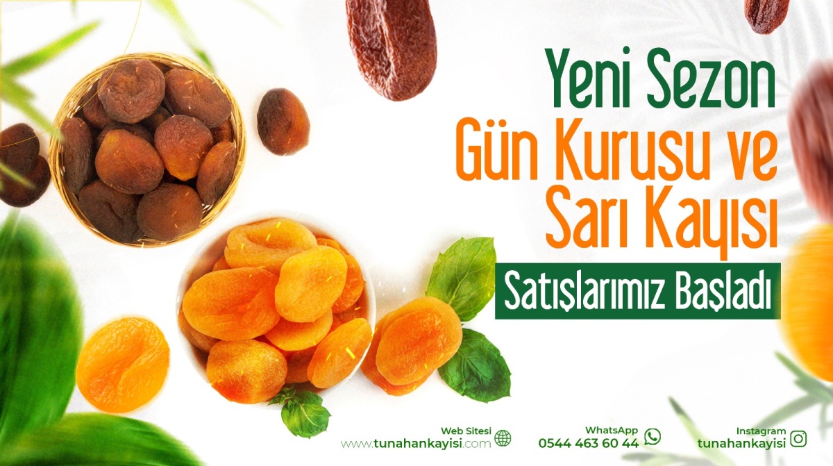 Yeni Sezon Kayısılarımız Geldi Sınırlı Kilogramda