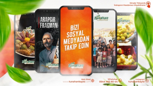 Türkiye'nin en en aktif kayısı sayfası, hemen takip edin!