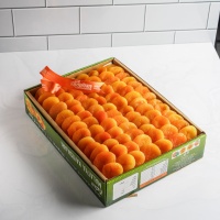 Yeni Sezon Jumbo Sarı Kayısı 5 kg