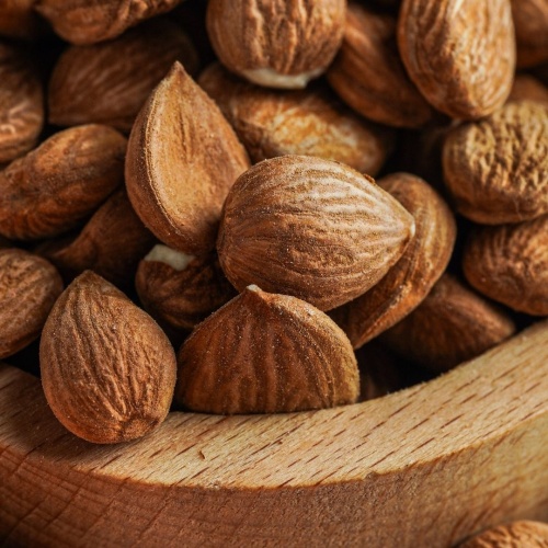 Acı Kayısı Çekirdeği