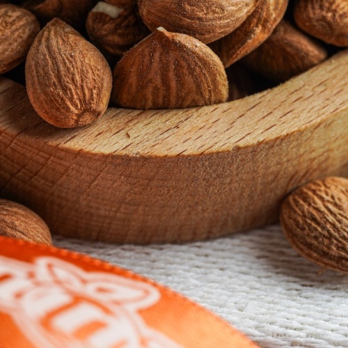 Acı Kayısı Çekirdeği