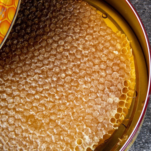 Doğanşehir Petek Balı 2.7 Kg Çıtalı