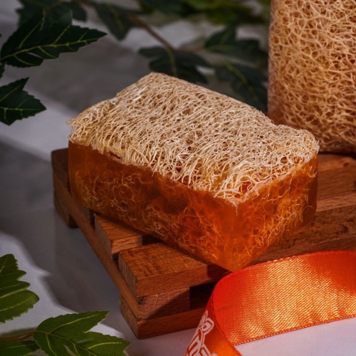 Kabak Lİfli Kayısı Sabunu