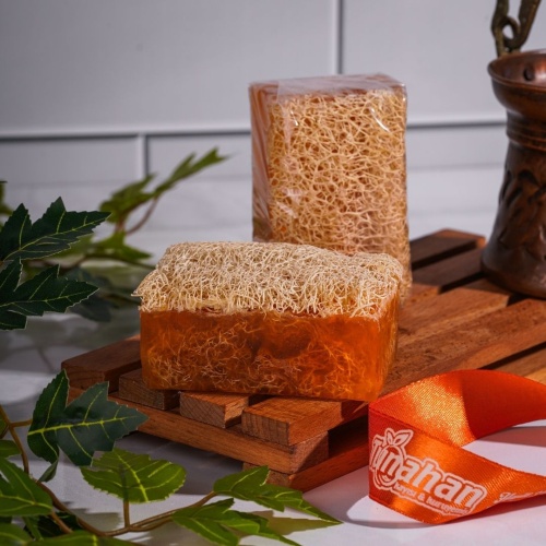 Kabak Lİfli Kayısı Sabunu