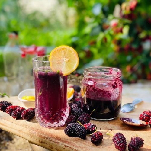 Taneli Karadut  Özü Ev Yapımı 500 ml